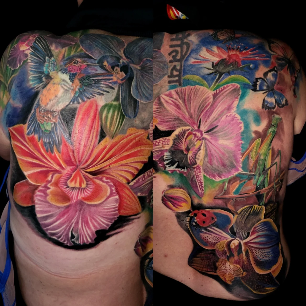 A large, colorful back tattoo featuring vibrant flowers, a hummingbird, a praying mantis, butterflies, a ladybug, and a betta fish, all intricately detailed and covering most of the persons upper back.